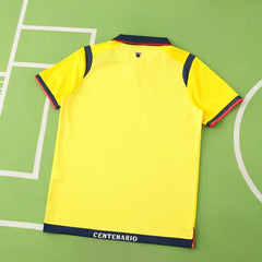 2526 season Ecuador away Fan version
